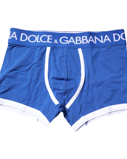 Dolce & Gabbana Blue Logo Waist Regular Boxer Brief Underwear