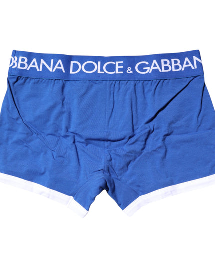 Dolce & Gabbana Blue Logo Waist Regular Boxer Brief Underwear