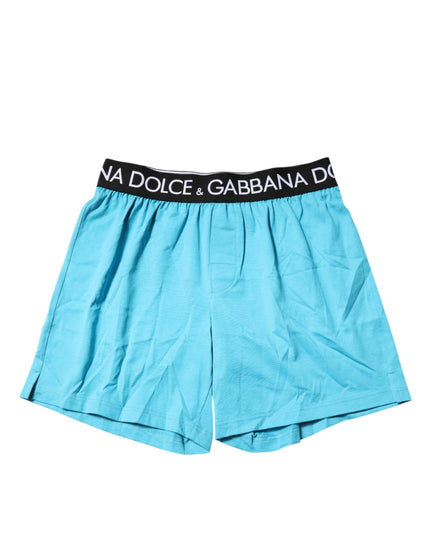 Dolce & Gabbana Blue Logo Waist Regular Boxer Shorts Underwear