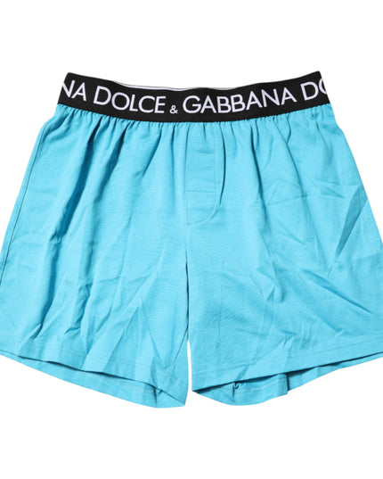 Dolce & Gabbana Blue Logo Waist Regular Boxer Shorts Underwear