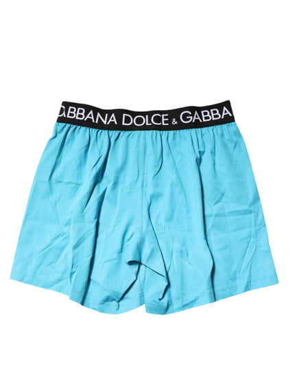 Dolce & Gabbana Blue Logo Waist Regular Boxer Shorts Underwear