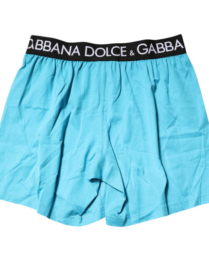 Dolce & Gabbana Blue Logo Waist Regular Boxer Shorts Underwear