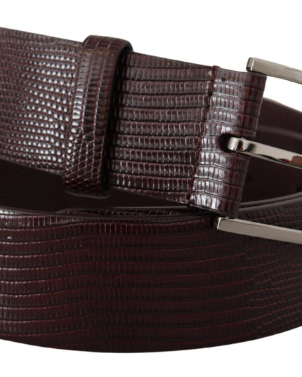 Dolce & Gabbana Dark Brown Calf Leather Silver Logo Metal Buckle Belt
