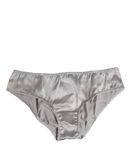 Dolce & Gabbana Gray Silk Stretch Bottom Low Waist Panty Underwear