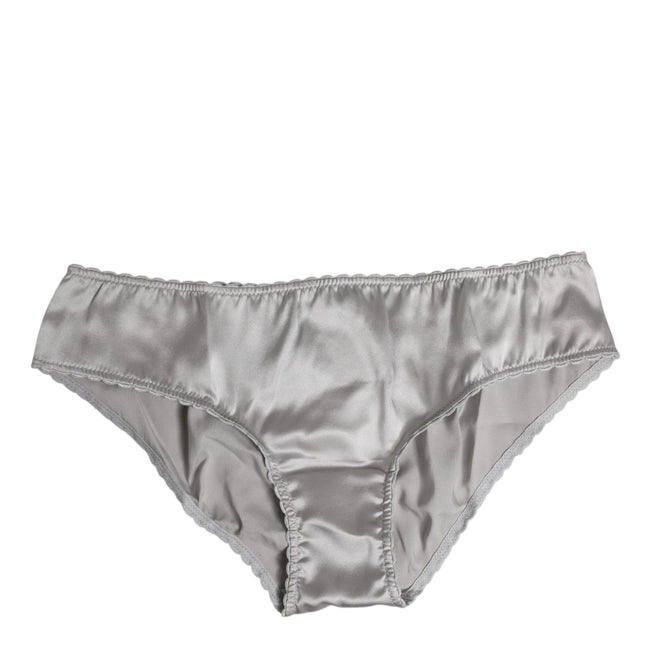 Dolce & Gabbana Gray Silk Stretch Bottom Low Waist Panty Underwear