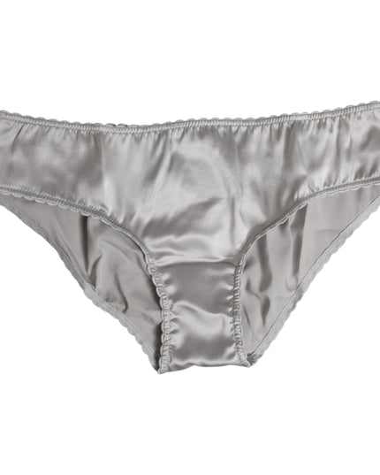 Dolce & Gabbana Gray Silk Stretch Bottom Low Waist Panty Underwear