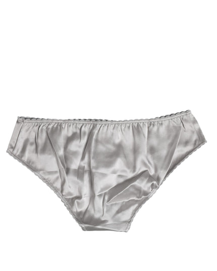 Dolce & Gabbana Gray Silk Stretch Bottom Low Waist Panty Underwear