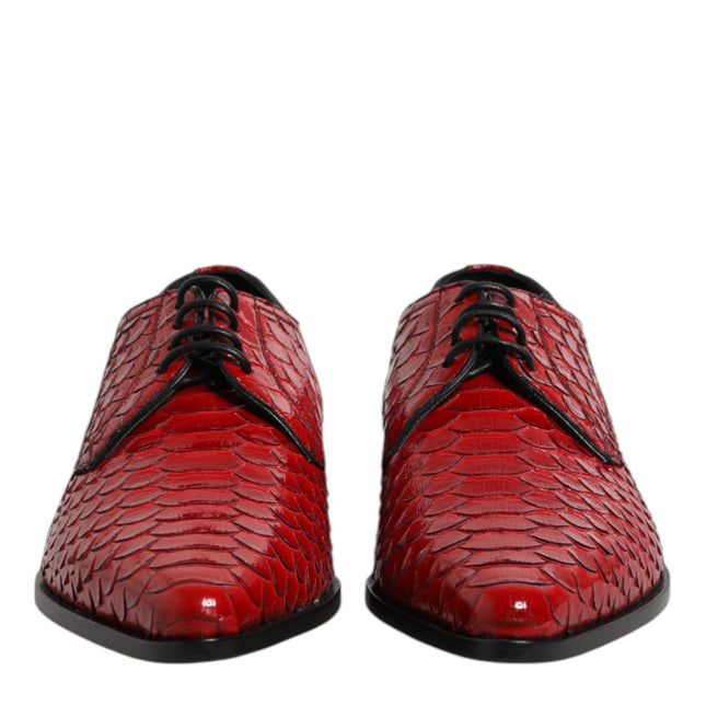 Dolce & Gabbana Red Exotic Leather Lace Up Dress Derby Shoes