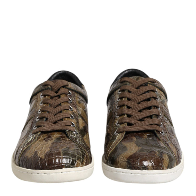 Dolce & Gabbana Brown Exotic Leather Low Top Sneakers Shoes