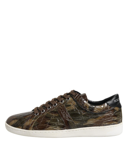 Dolce & Gabbana Brown Exotic Leather Low Top Sneakers Shoes