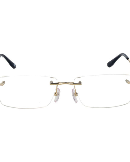 BMW Gold Titanium Glasses (Frames)