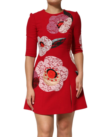 Dolce & Gabbana Red Lace Floral Applique A-line Mini Dress