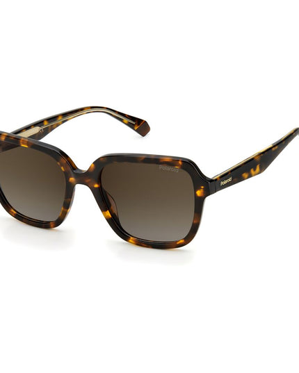 Polaroid Brown Acetate Sunglasses
