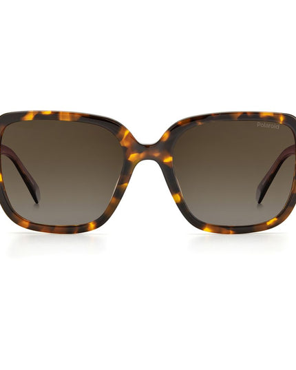 Polaroid Brown Acetate Sunglasses