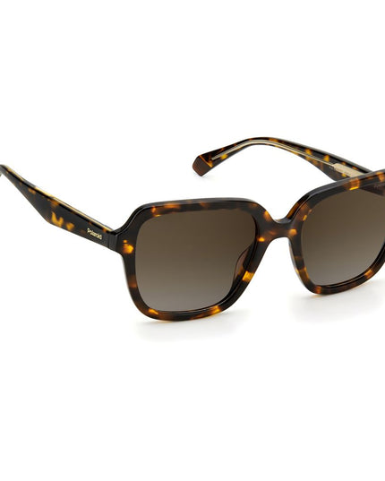 Polaroid Brown Acetate Sunglasses
