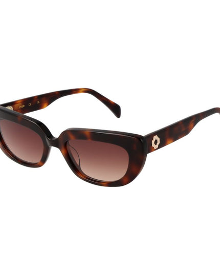Maje Brown Acetate Sunglasses