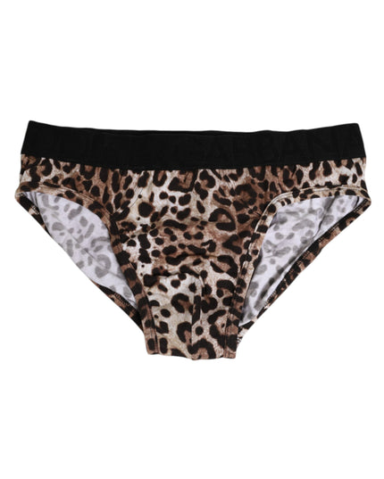 Dolce & Gabbana Brown Cotton Leopard Logo Midi Brief Underwear