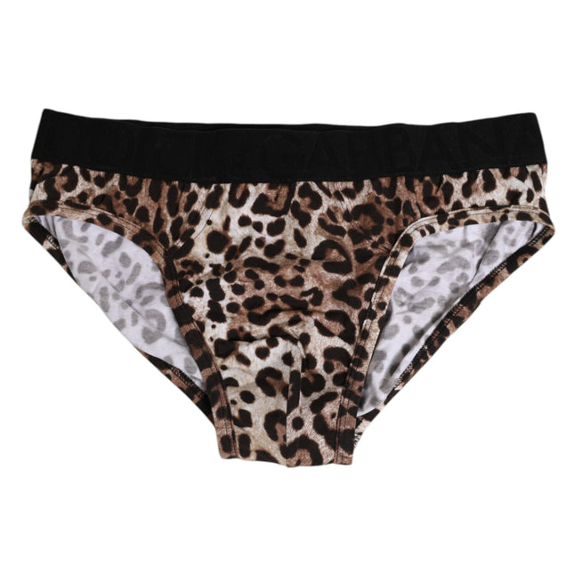 Dolce & Gabbana Brown Cotton Leopard Logo Midi Brief Underwear