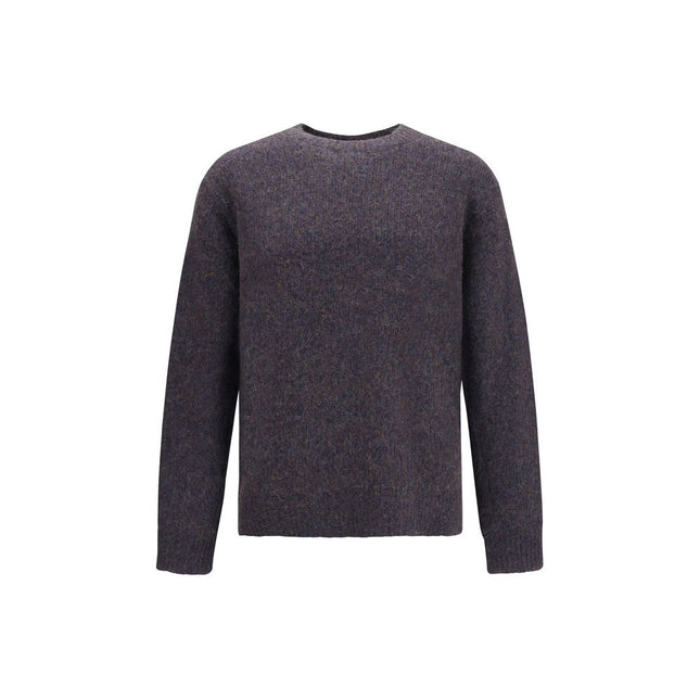 Sunflower Brown Alpaca Vicugna Pacos Sweatshirt