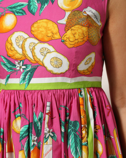 Dolce & Gabbana Pink Fruit Print A-line Mini Sleeveless Dress