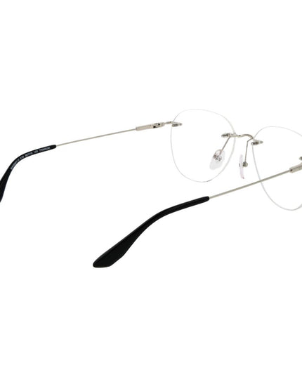 BMW Silver Titanium Glasses (Frames)