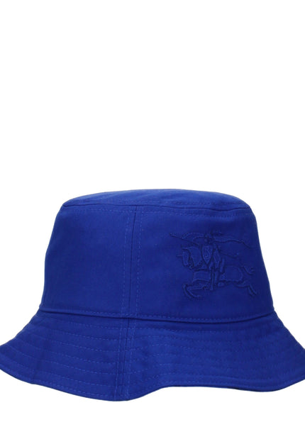 Collection image for: Hats