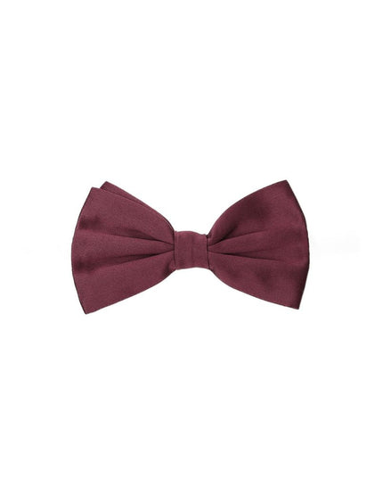 Dolce & Gabbana Bordeaux Silk Bowtie