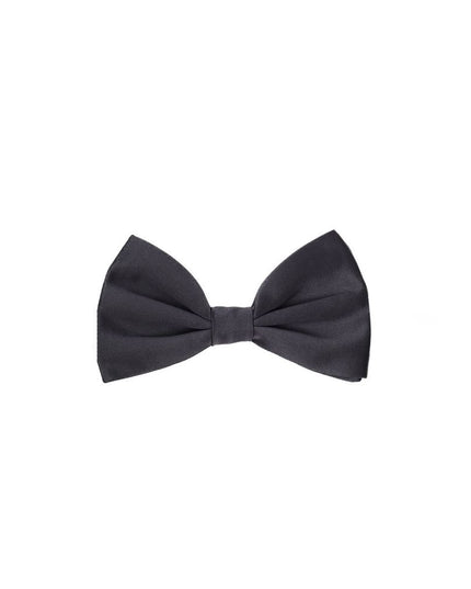 Dolce & Gabbana Gray Silk Bowtie