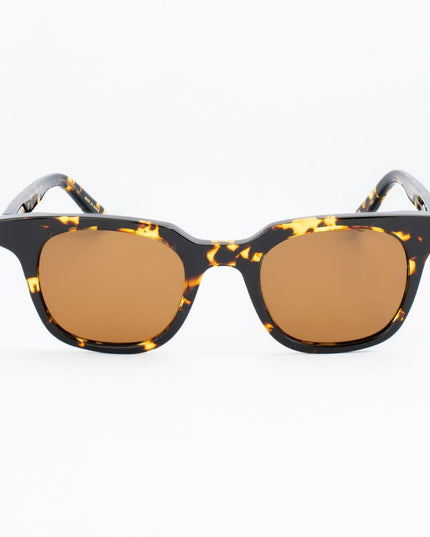 Belstaff Brown Acetate Sunglasses