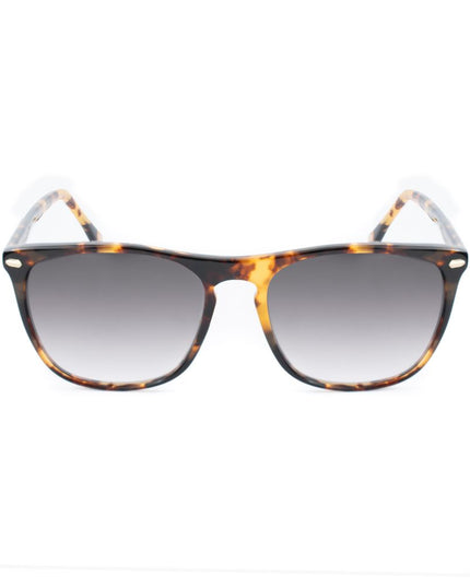 Belstaff Brown Acetate Sunglasses