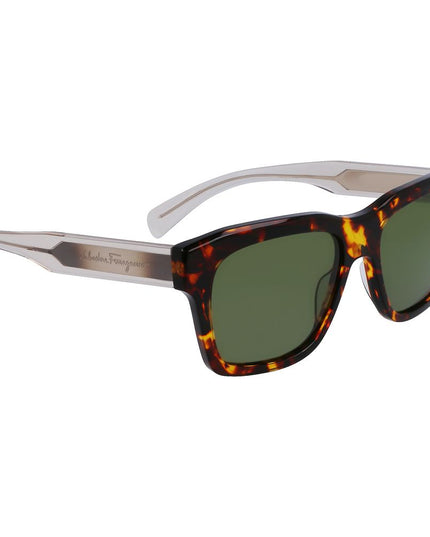 Ferragamo Brown Acetate Sunglasses