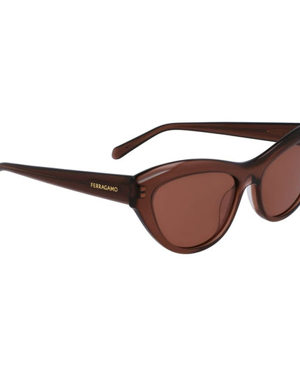 Ferragamo Brown Acetate Sunglasses