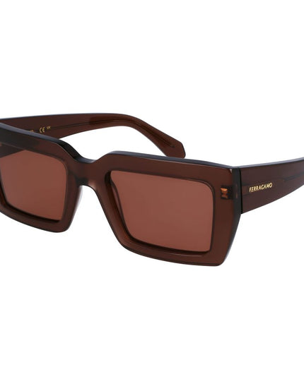 Ferragamo Brown Acetate Sunglasses
