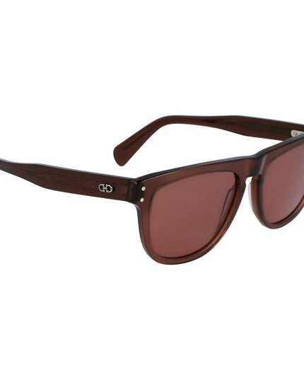Ferragamo Brown Acetate Sunglasses