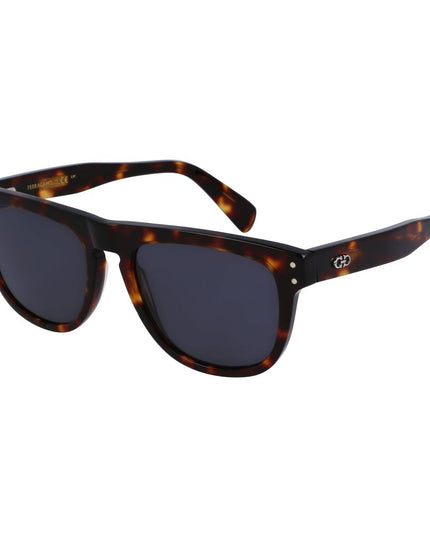 Ferragamo Brown Acetate Sunglasses