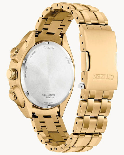 Citizen Gold Stainless Steel Dress Watch